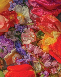 Blossom 1000 Piece Piece Puzzle