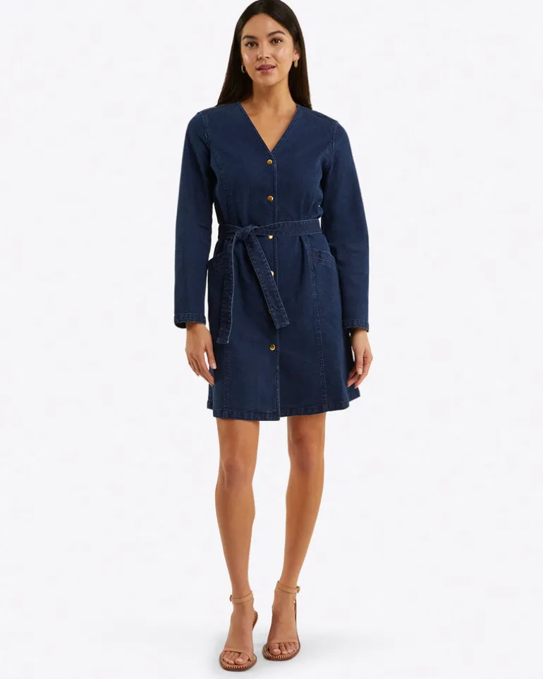 Colbie Snap Front Dress in Denim