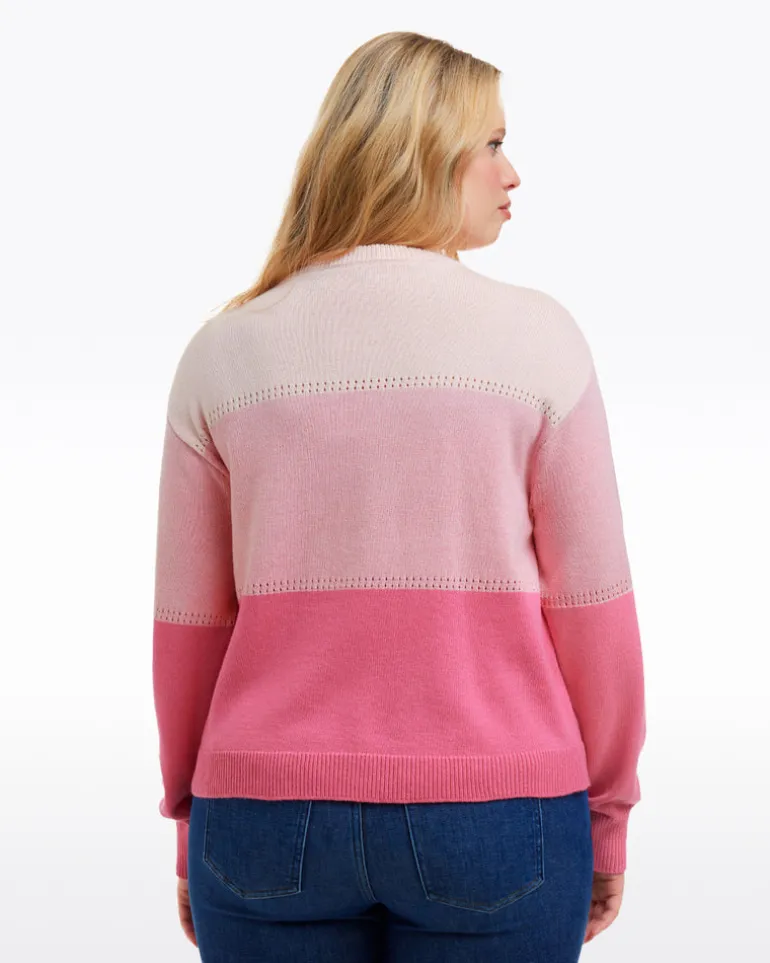 Colorblock Crewneck Sweater