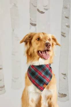 DJ x TFD Bandana in Georgia Plaid