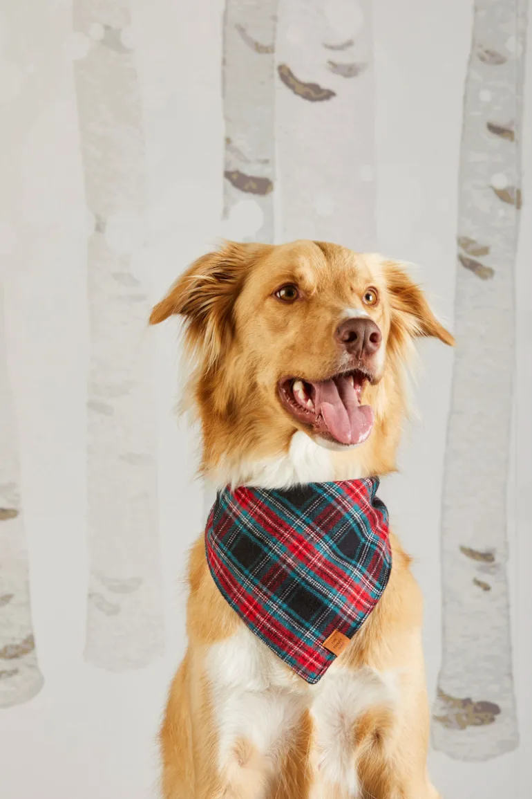 DJ x TFD Bandana in Georgia Plaid
