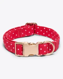 Dog Collar