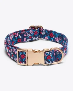 Dog Collar