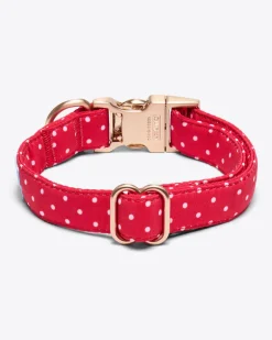 Dog Collar