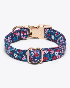 Dog Collar