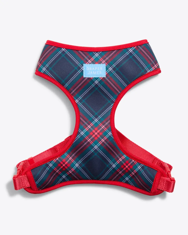 Dog Harness