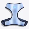 Dog Harness