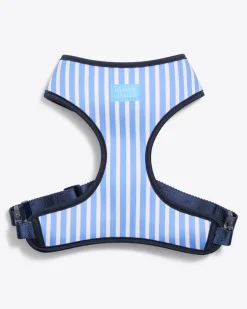 Dog Harness