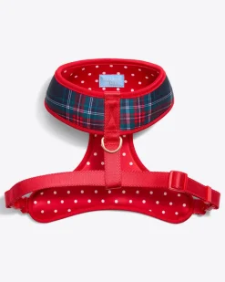 Dog Harness