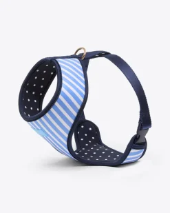 Dog Harness