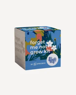 Forget Me Not Grow Kit