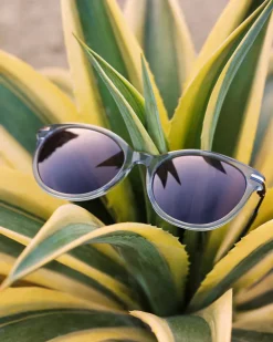 Nicolette Sunglasses